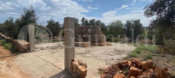 Grundstück in Sannicola, Italy 5030m², Nr. 172917 9