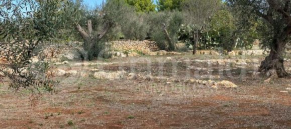 Grundstück in Sannicola, Italy 5030m², Nr. 172917 10