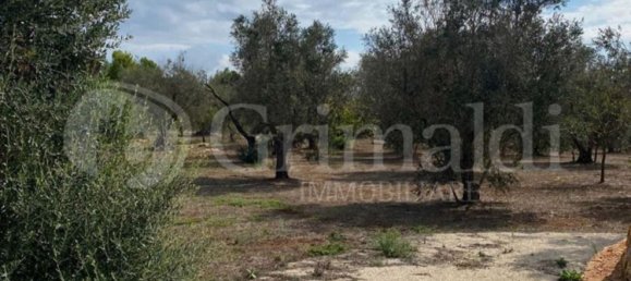 Grundstück in Sannicola, Italy 5030m², Nr. 172917 12