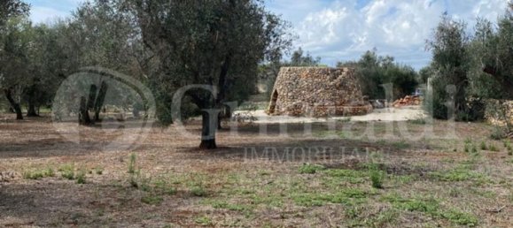 Grundstück in Sannicola, Italy 5030m², Nr. 172917 16