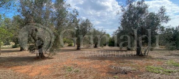 Grundstück in Sannicola, Italy 5030m², Nr. 172917 2