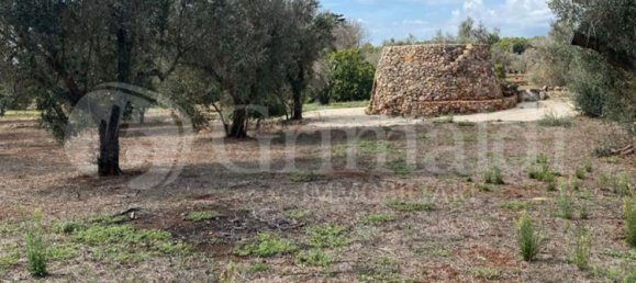 Grundstück in Sannicola, Italy 5030m², Nr. 172917 15