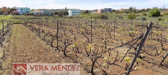 Земельный участок 8650м² в Тенерифе, Испания № 148238 3