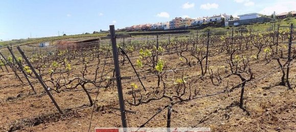 Земельный участок 8650м² в Тенерифе, Испания № 148238 5