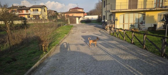 6-Zimmer Villa in Izano, Italy, Nr. 224940 2