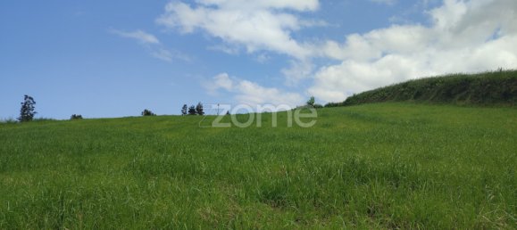 Grundstück in Nordeste, Portugal, Nr. 200398 8