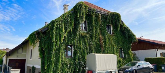 2-Zimmer Wohnung in Wiener Neustadt, Austria, Nr. 89791 22