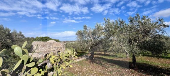 Estudio en Ceglie Messapica, Italy No. 24910 5