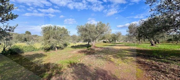 Estudio en Ceglie Messapica, Italy No. 24910 7