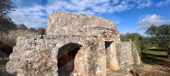 Estudio en Ceglie Messapica, Italy No. 24910 3