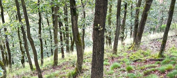 Terreno en Euskirchen, Germany 61970 m² No. 144035 3