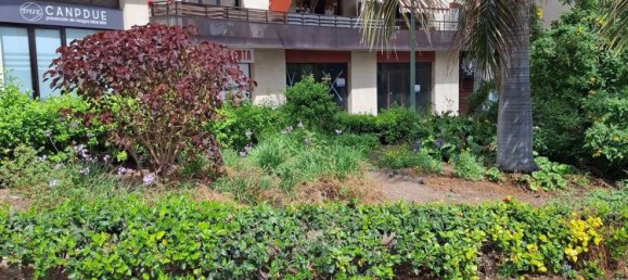 Gewerbliche Immobilie in Las Palmas De Gran Canaria, Spain 159m², Nr. 19877 12