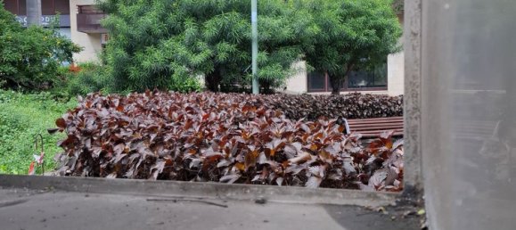 Gewerbliche Immobilie in Las Palmas De Gran Canaria, Spain 159m², Nr. 19877 15