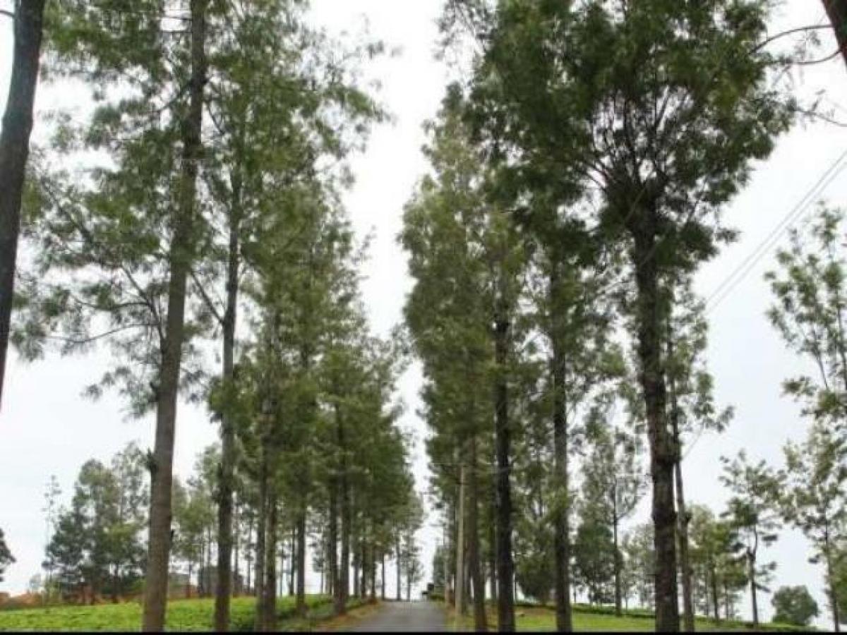  Land in Tamil Nadu, India No. 38178