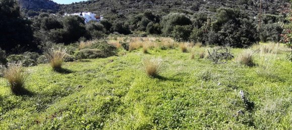 24000m² Hotel in Malia, Greece No. 51996 7