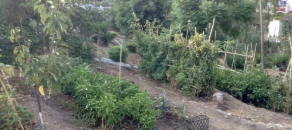 5 bedrooms House in Benajarafe, Spain No. 56831 8