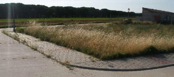 4050m² Land in Segovia, Spain No. 156988 4