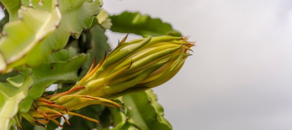 Casa de 2 dormitorios en Granada, Spain No. 152518 22