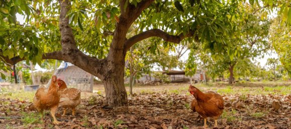 Casa de 2 dormitorios en Granada, Spain No. 152518 16