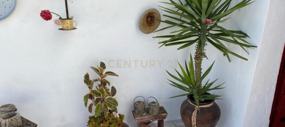 Gewerbliche Immobilie in Elvas, Portugal 224m², Nr. 222762 5