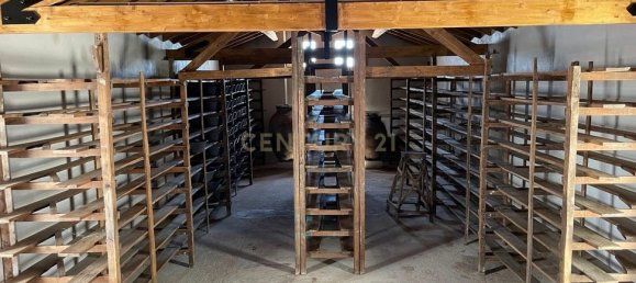 Gewerbliche Immobilie in Elvas, Portugal 224m², Nr. 222762 36