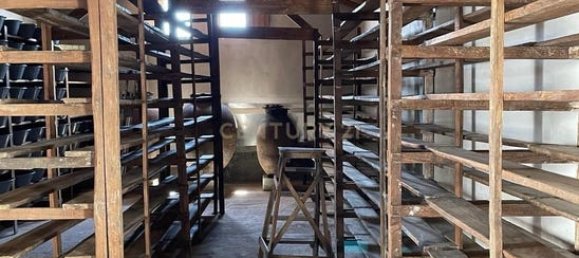 Gewerbliche Immobilie in Elvas, Portugal 224m², Nr. 222762 40