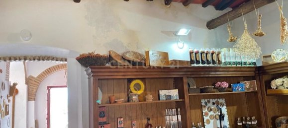 Gewerbliche Immobilie in Elvas, Portugal 224m², Nr. 222762 29