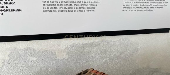 Gewerbliche Immobilie in Elvas, Portugal 224m², Nr. 222762 19