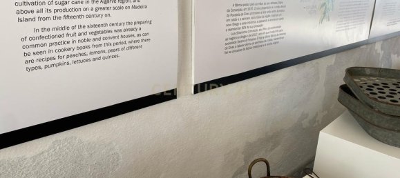 Gewerbliche Immobilie in Elvas, Portugal 224m², Nr. 222762 23