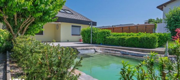 7 rooms Villa in Korneuburg, Austria No. 157871 35