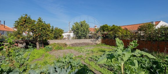 4 bedrooms House in Boavista dos Pinheiros, Portugal No. 15922 26