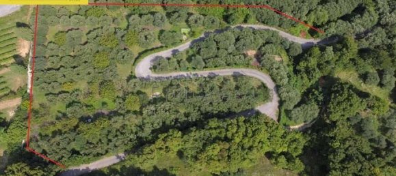 4158m² Land in Verona, Italy No. 296574 2