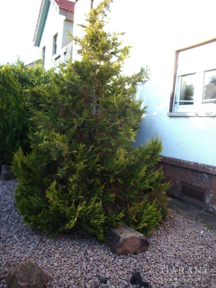 4 chambres Maison à Rhein-Neckar-Kreis, Germany No. 1279