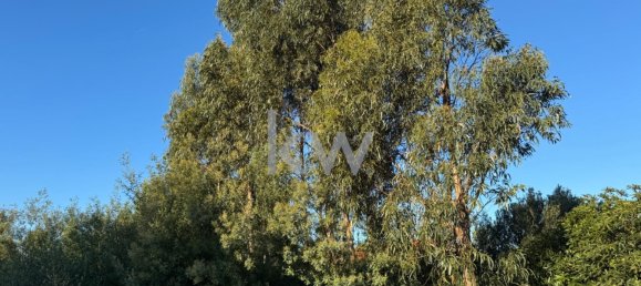 2240m² Land in Cascais, Portugal No. 121021 6