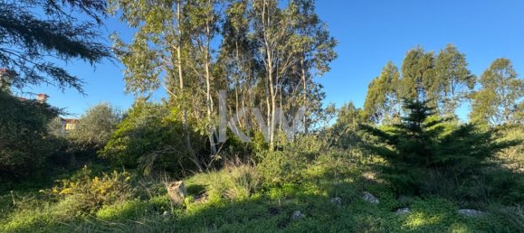 2240m² Land in Cascais, Portugal No. 121021 17