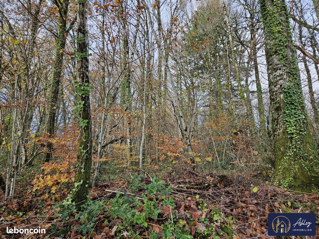 Terrain à Neuvic, France 7950m² No. 97263