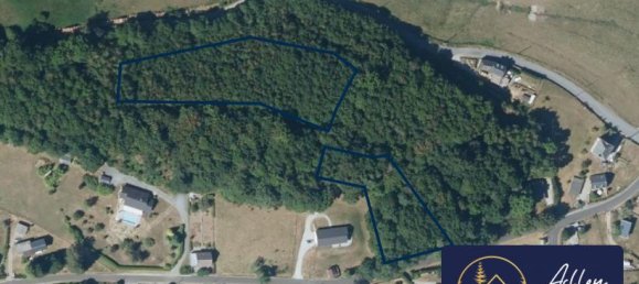 Terrain à Neuvic, France 7950m² No. 97263 2