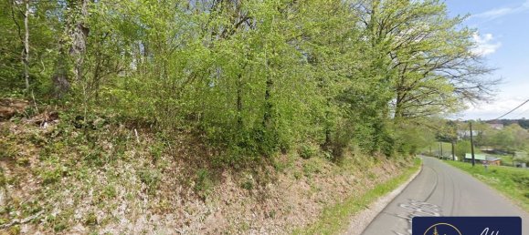 Terrain à Neuvic, France 7950m² No. 97263 5