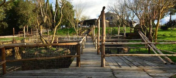 10 bedrooms Villa in Pitigliano, Italy No. 492 4