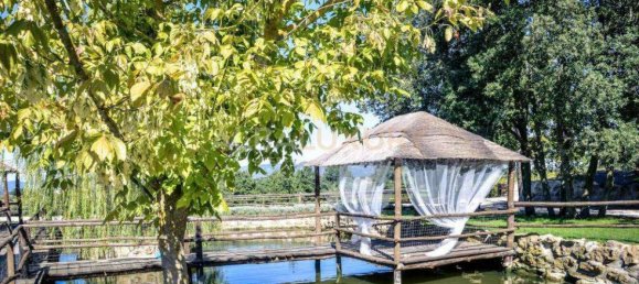 10 bedrooms Villa in Pitigliano, Italy No. 492 12