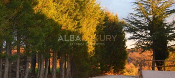 10 bedrooms Villa in Pitigliano, Italy No. 492 9