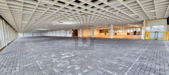 6-Zimmer Lagerhaus in Kleve, Germany, Nr. 202647 3