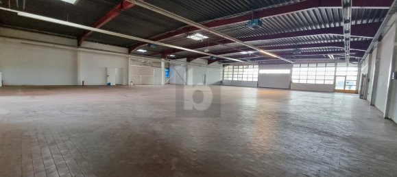 6-Zimmer Lagerhaus in Kleve, Germany, Nr. 202647 5