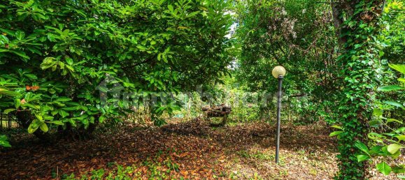 2 Schlafzimmer Wohnung in Marliana, Italy, Nr. 355286 28