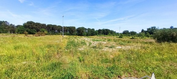 8-Zimmer Haus in Castiglione del Lago, Italy, Nr. 70341 16