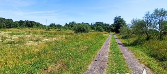 8-Zimmer Haus in Castiglione del Lago, Italy, Nr. 70341 35