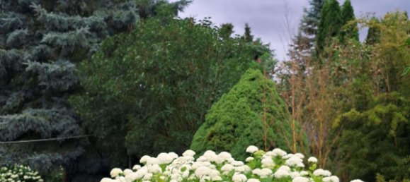 1 bedroom Townhouse in Mecklenburgische Seenplatte, Germany No. 245815 15