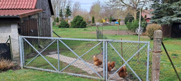 1 bedroom Townhouse in Mecklenburgische Seenplatte, Germany No. 245815 14