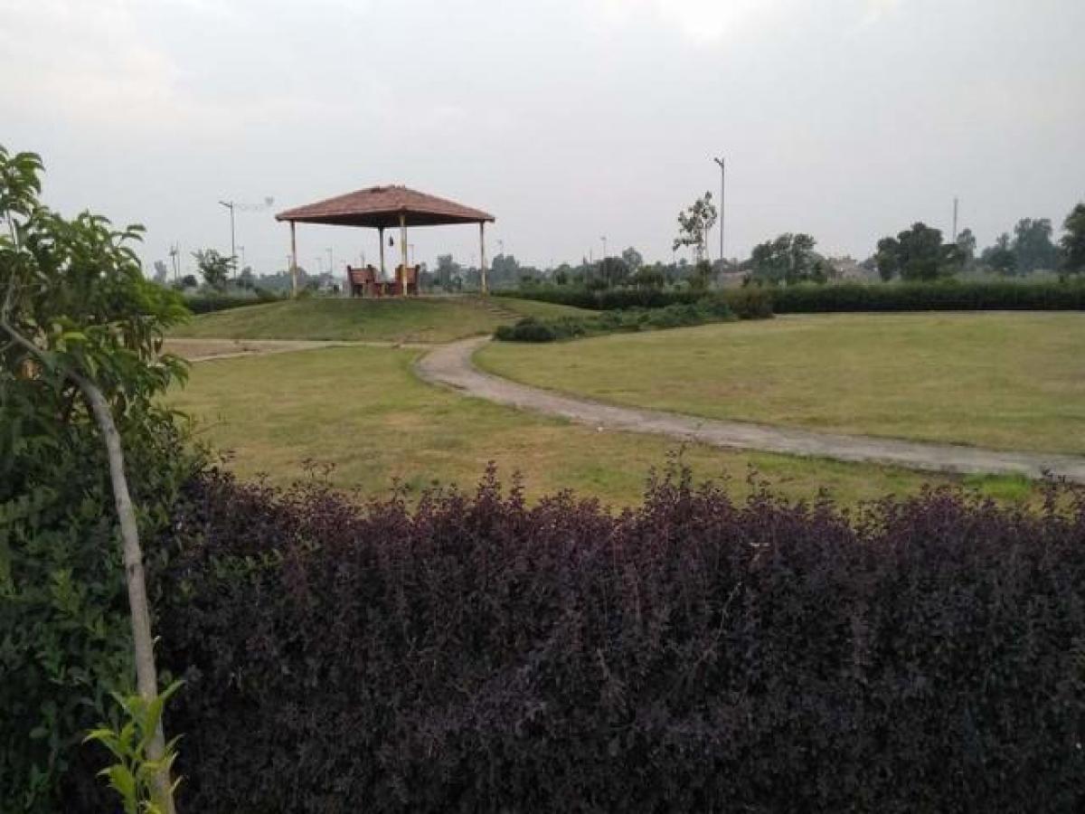  Land in Mohali, India No. 30062