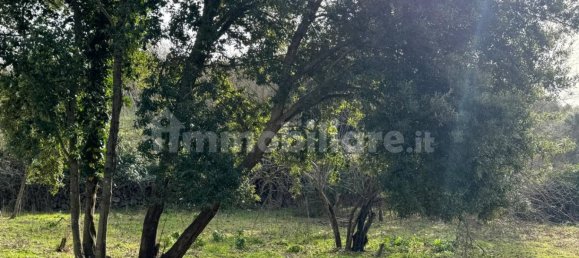 2 bedrooms House in Padria, Italy No. 308818 7